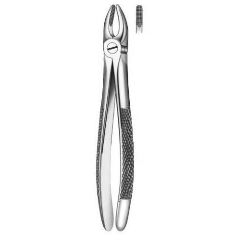 Forceps