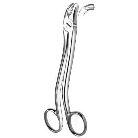 Forceps