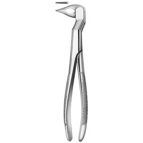 Forceps