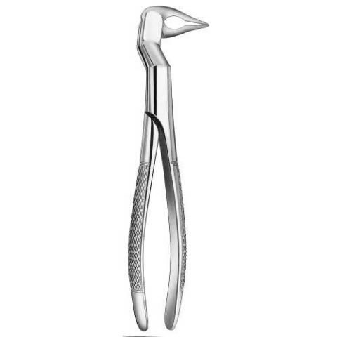 Forceps